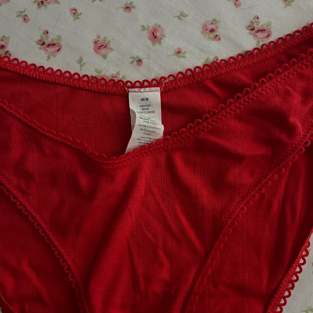 Aerie highcut cheeky bikini panties
